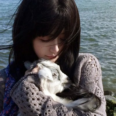 海绵宝宝:海陆大出击